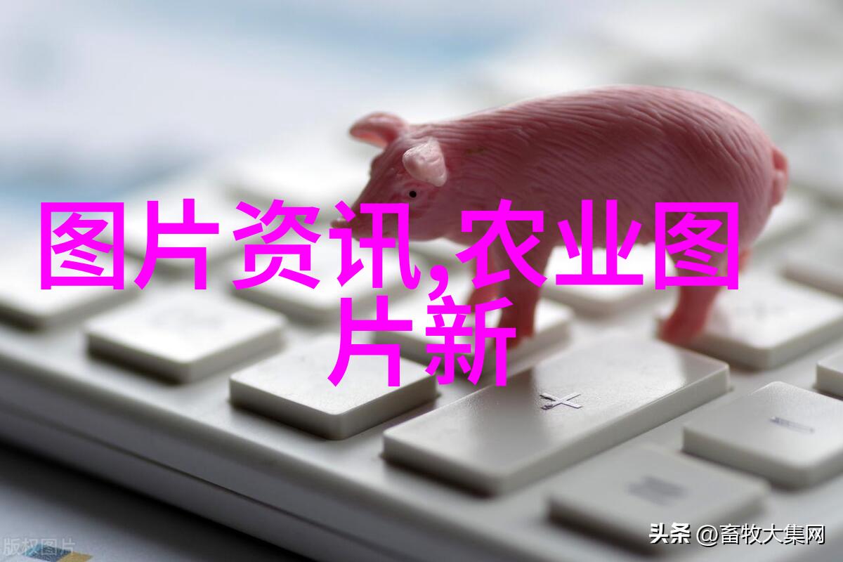 价值链分析从畜牧到消费者哪些环节决定了收益