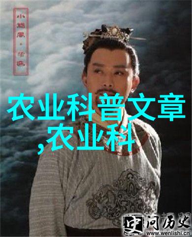 农用拖拉机设备高效多功能耕地机械