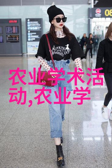 蜂舞奇缘揭秘养蜂技术视频全过程的奥秘