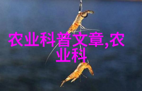 四叔的智慧之旅探索四叔的人生历程和智慧教诲