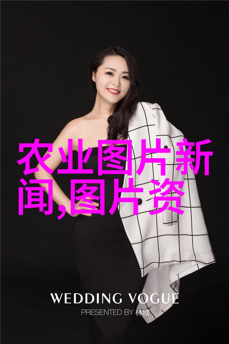 野菜采摘寻找自然的蔬菜宝藏