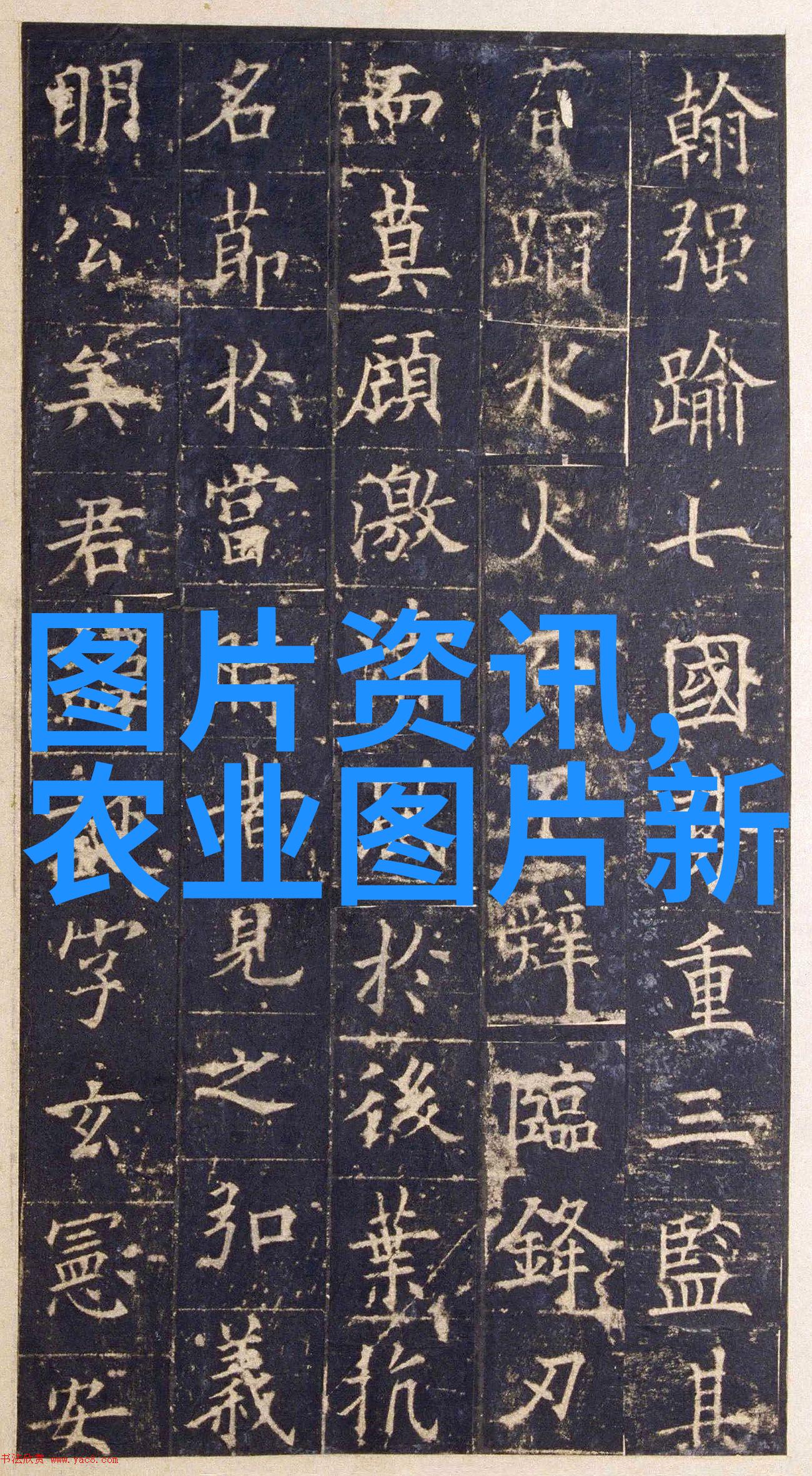 无土栽培技术水培空气层育智能温室