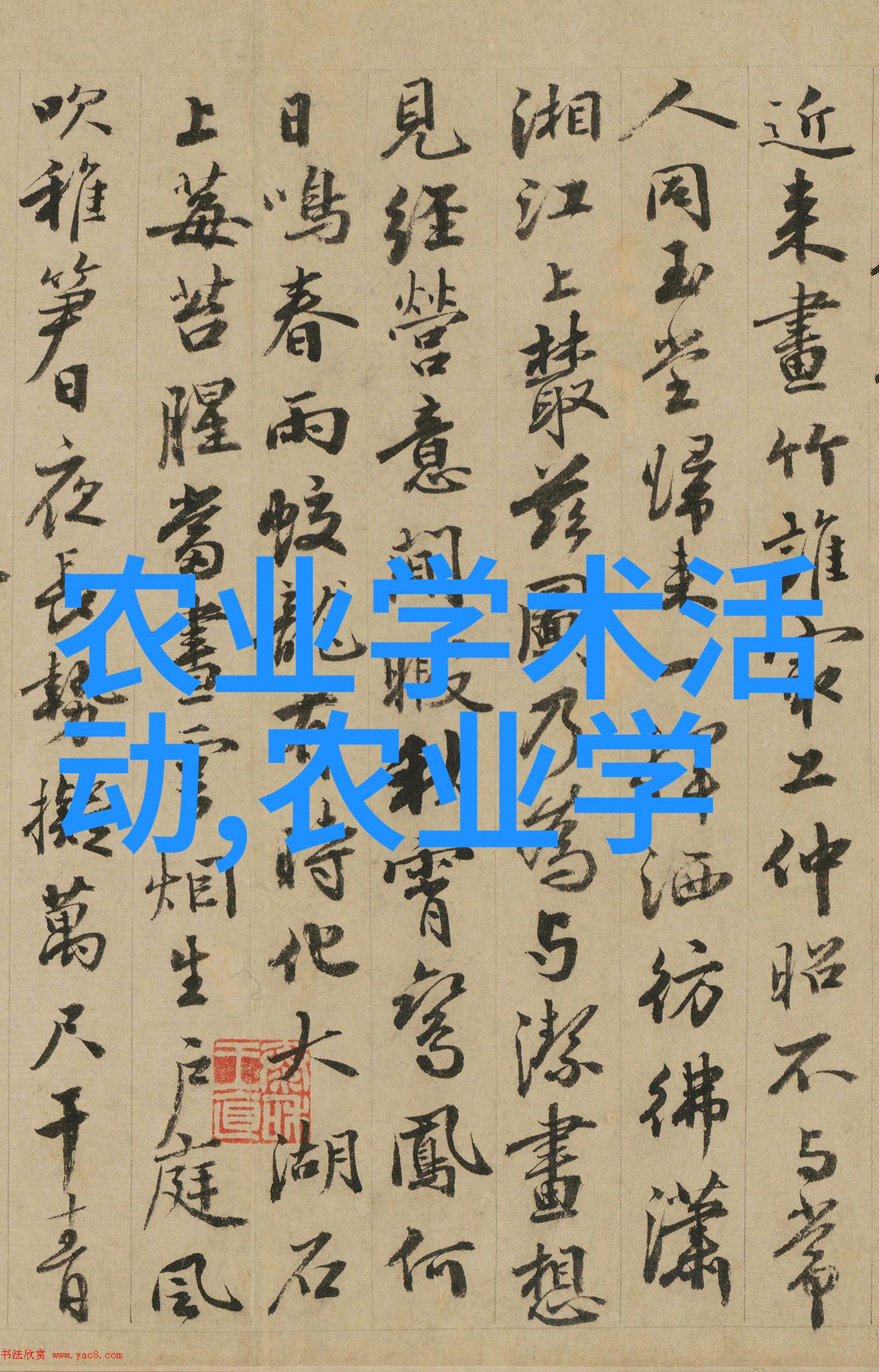 全球农业大学排名盘点领先者与发展趋势分析