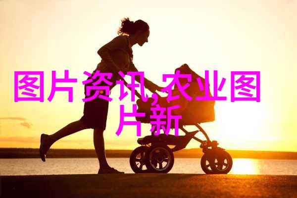 绿化工程-1000万树木的守护揭秘百万级别城市绿化项目的规模与影响