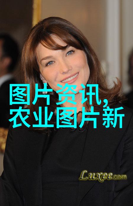 手扶式旋耕机操作简单但维护工作又需谨慎具体是如何进行的