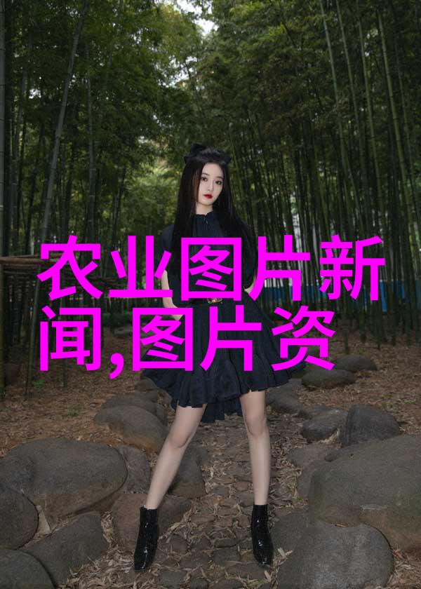 如何选择适合自己院子里的花卉种植