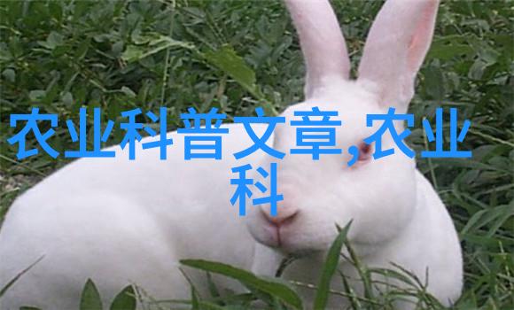 猪胃溃病的治疗