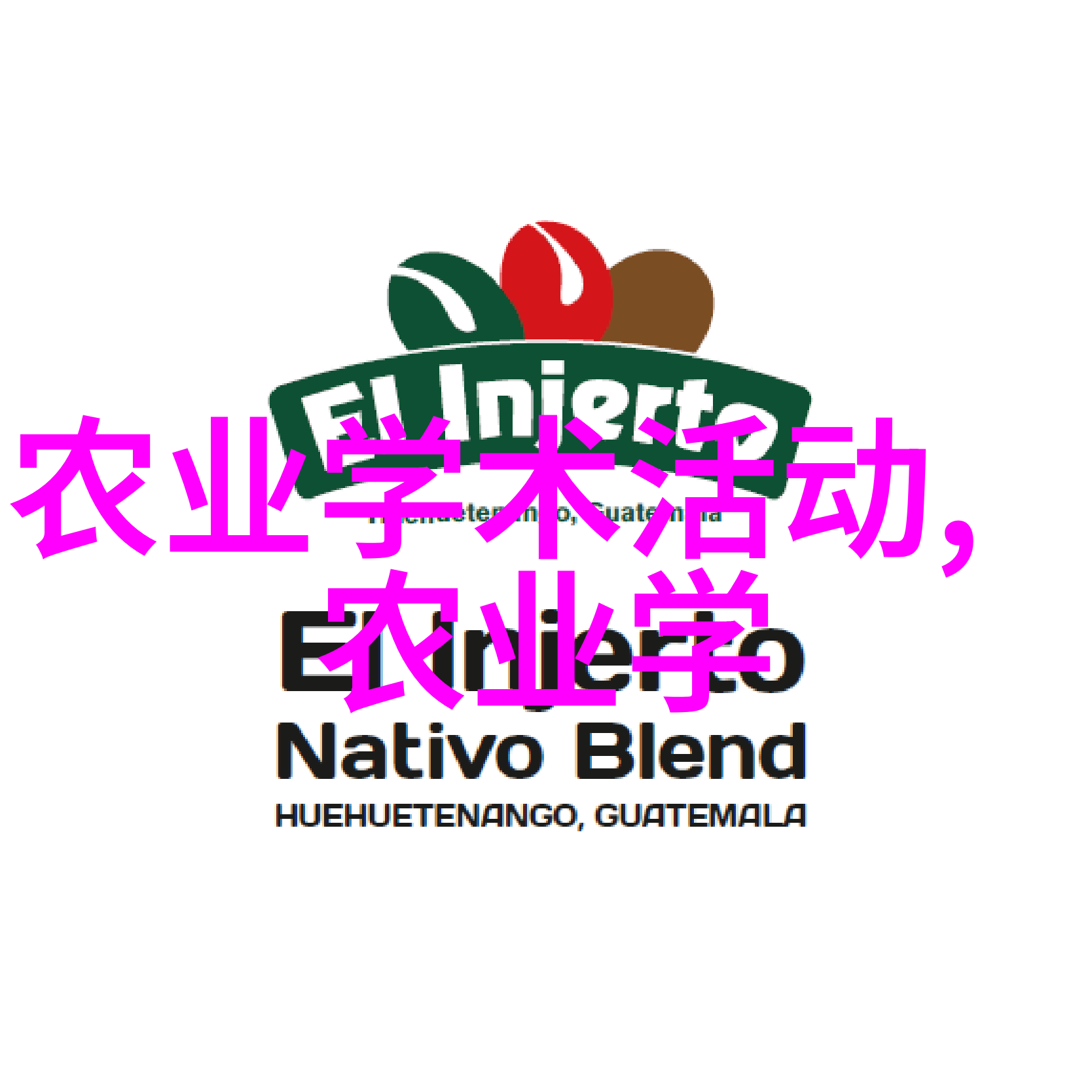 农田里的小伙伴手扶旋耕机的温暖故事