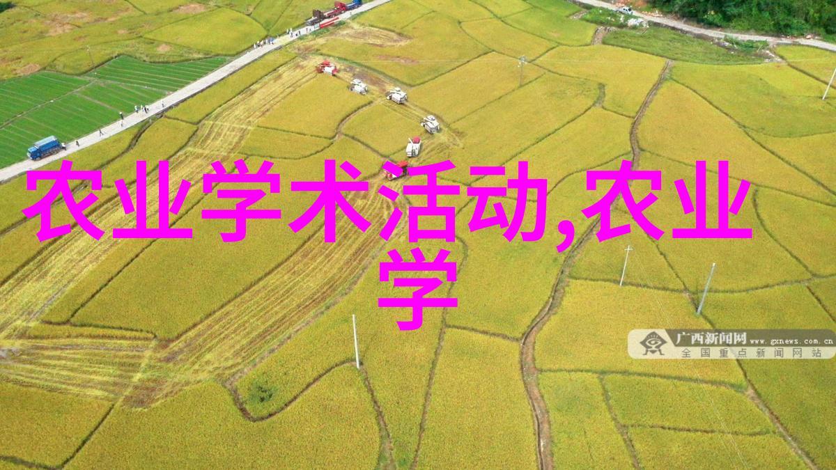吸粮机技术的创新是否能提高效率并减少成本