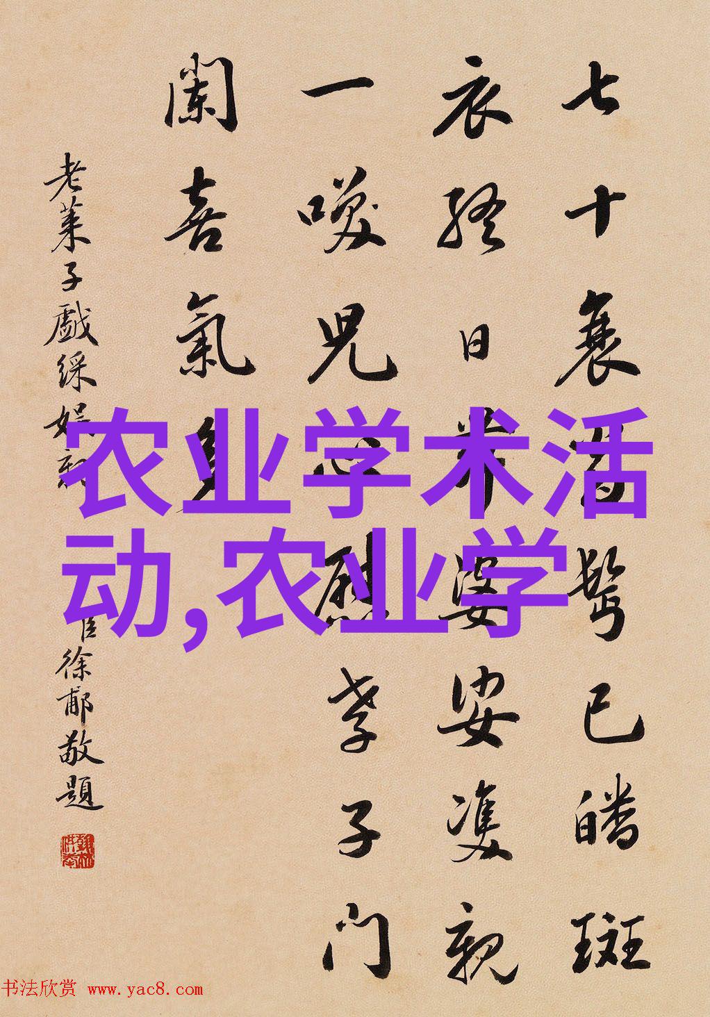 家用玉米棒输送机链条揭秘背后的神秘力量