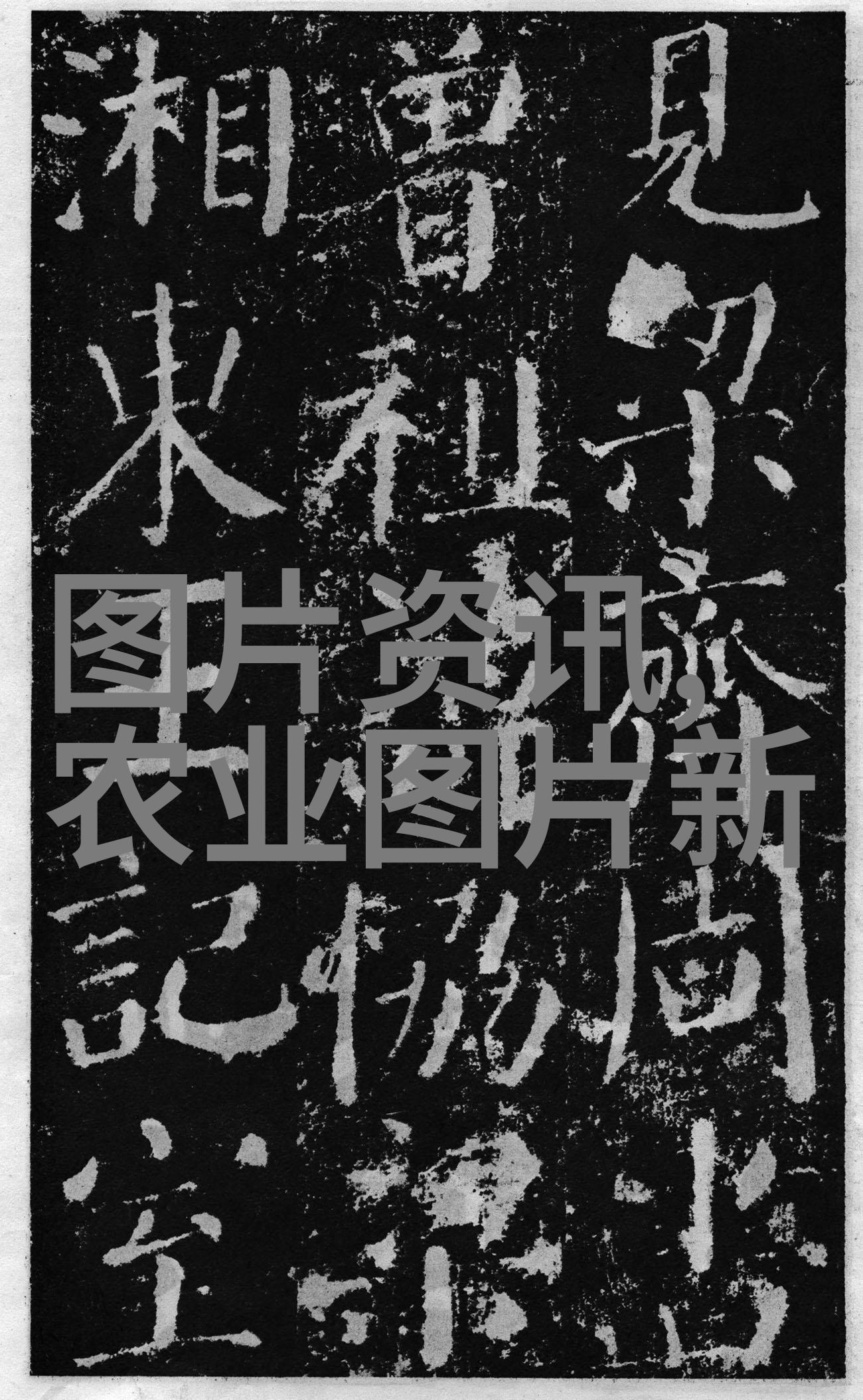 怎样加工树莓果茶果酱