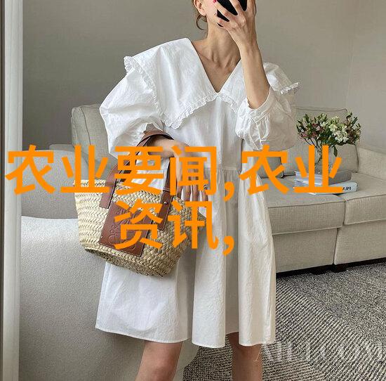 10种最旺家的绿植带来自然之美