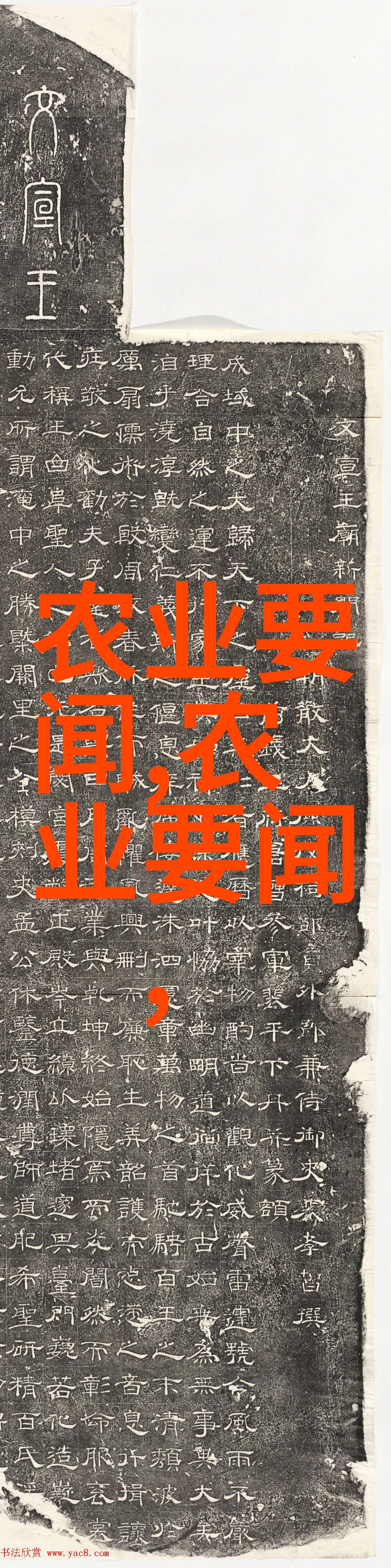 乡村草药宝库探索农村常见中草药的秘密与应用