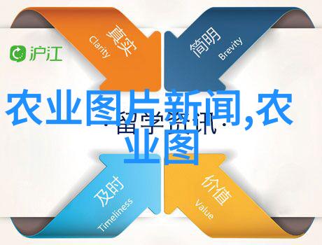 农村土地种植什么赚钱快-丰收财富探秘高收益农村土地作物