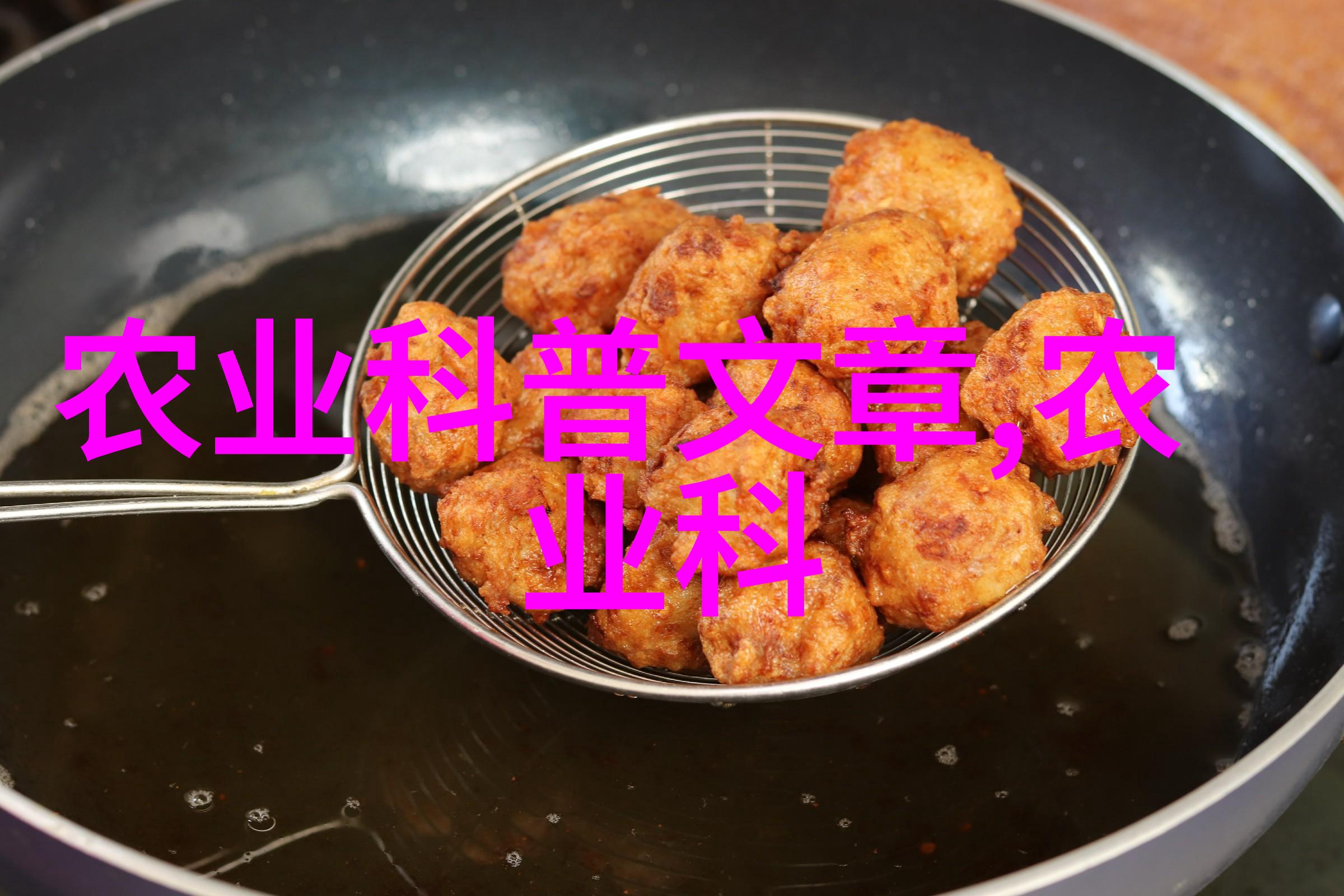 绿意盎然探索多肉奇迹的百花园