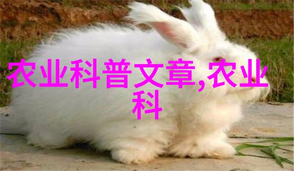 肉鸽繁育管理生长期至屠宰前阶段指导