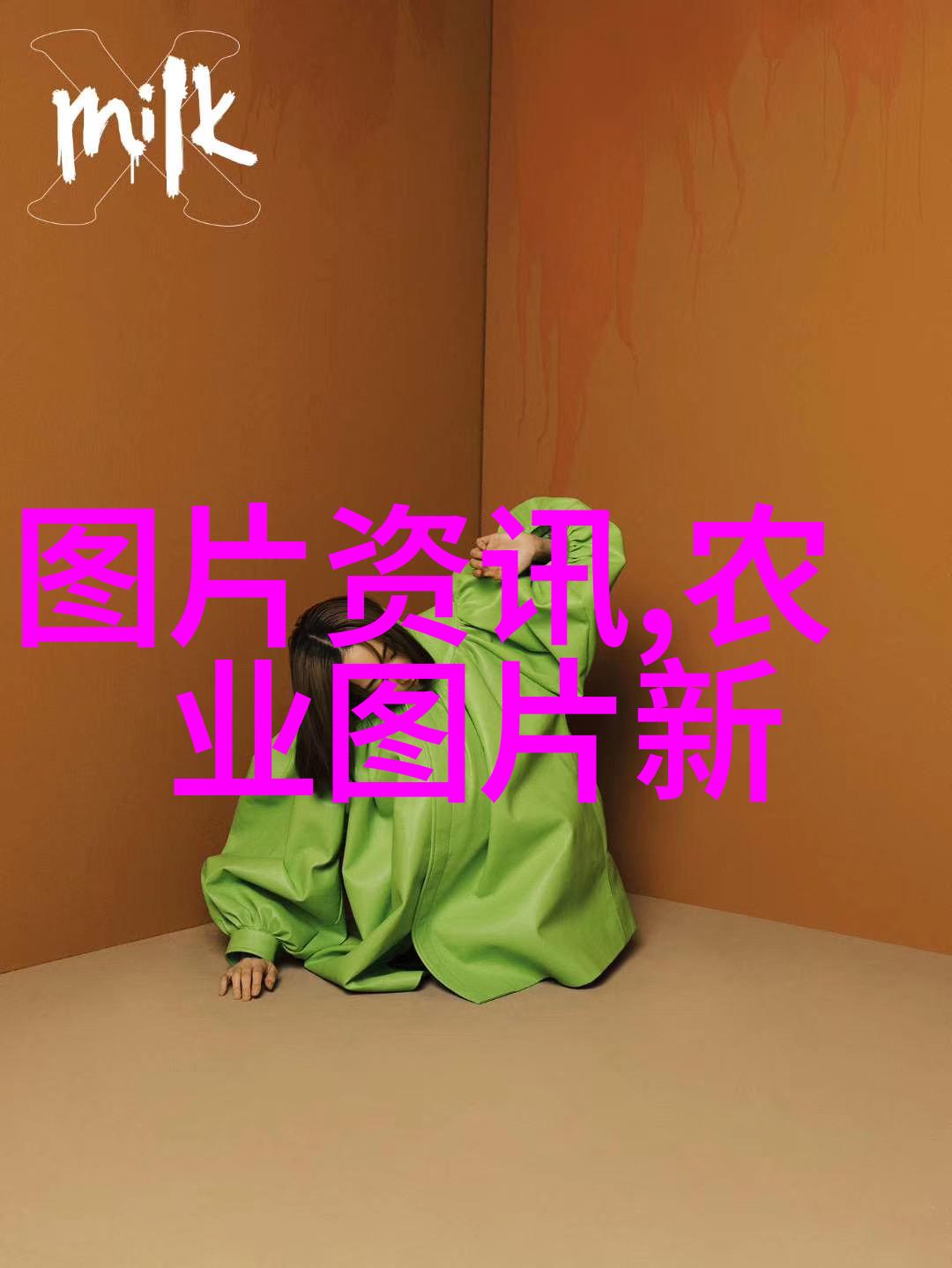 赏心悦目的盆栽花卉图片绿意盎然的室内美学