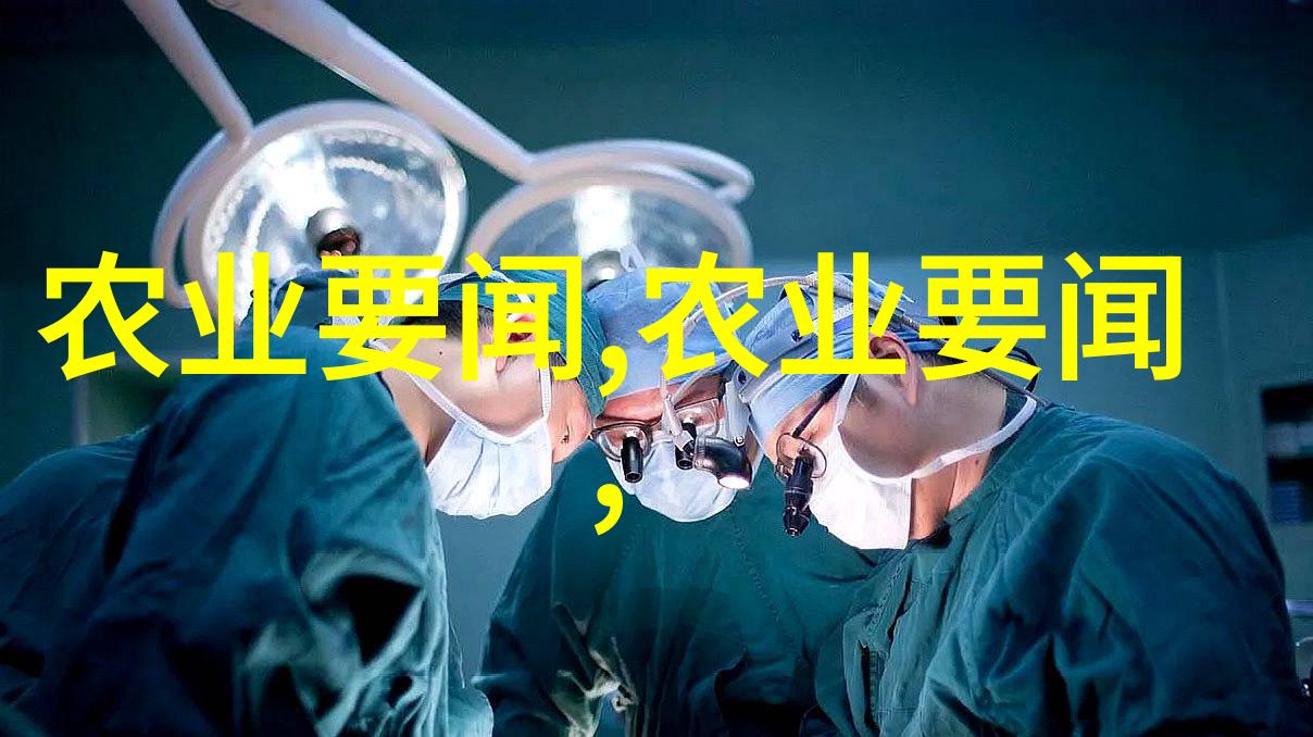 如何选择一项既经济又可行的养殖项目以满足穷人创业的需求