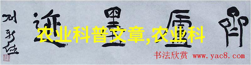 春意盎然的园艺选择金叶复叶槭价格表解读