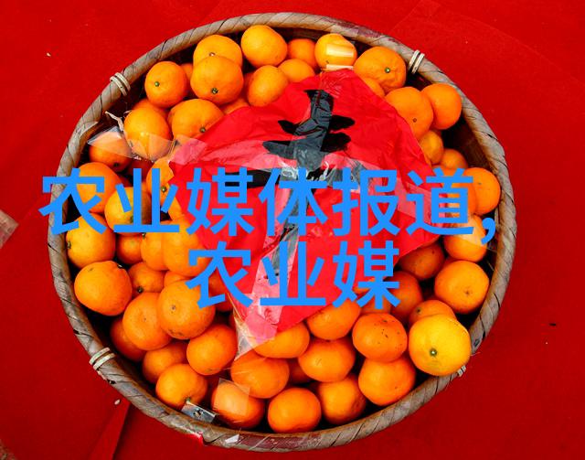 丰收启示2022年最佳农业种植选择