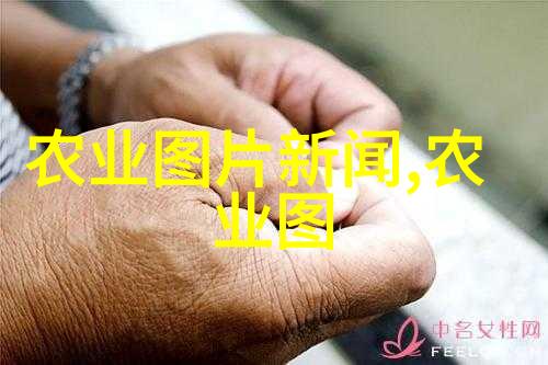 什么是良好的土壤类型用于苗木种植怎样改善不利土壤条件