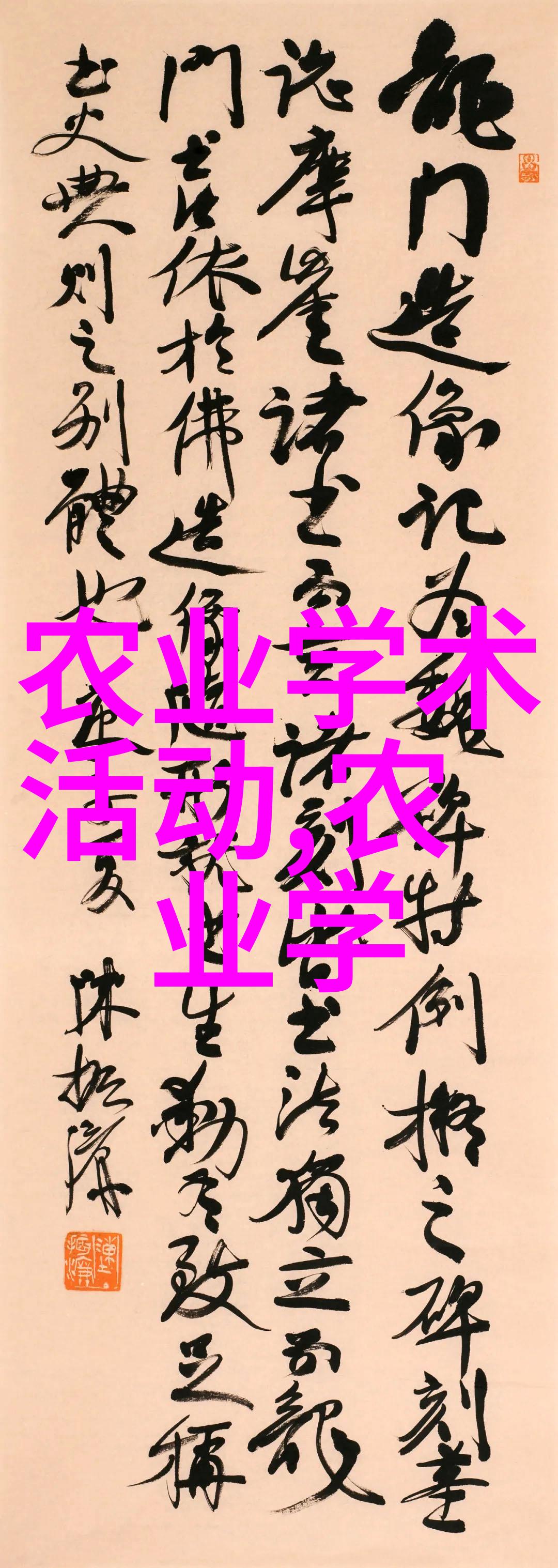 阳台小景最旺宅的植物选择