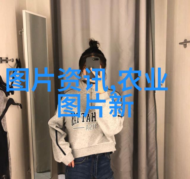 毛叶枣后保鲜技术