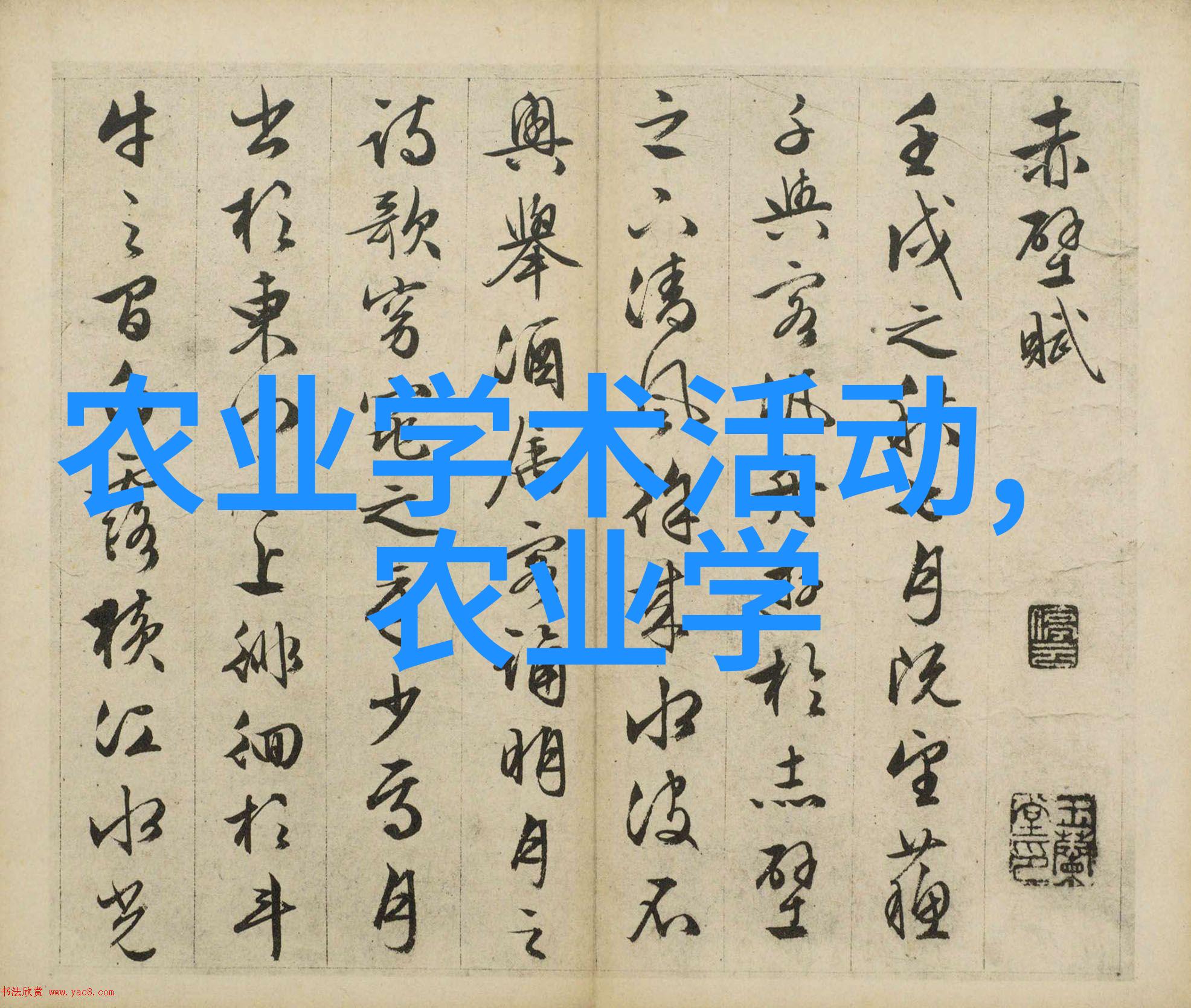 0k养蜂论坛探索蜜蜂的智慧与美妙世界