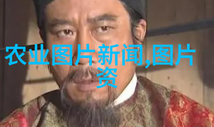 羊群丰收20只羊一年利润之谜