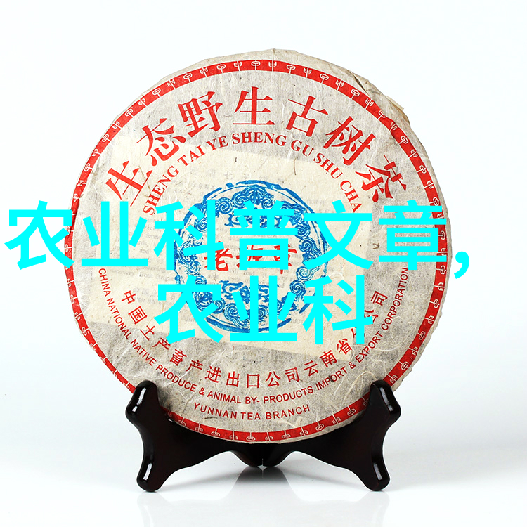 青春失乐园3逆袭之旅