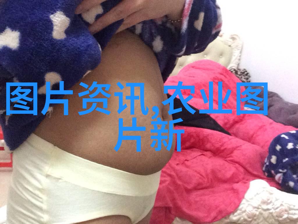 牛的养殖技术与饲养方法概述