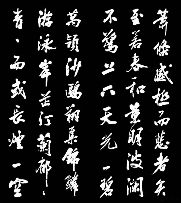 细菌病毒与化学品蜜蜂生命中不可触碰的一切