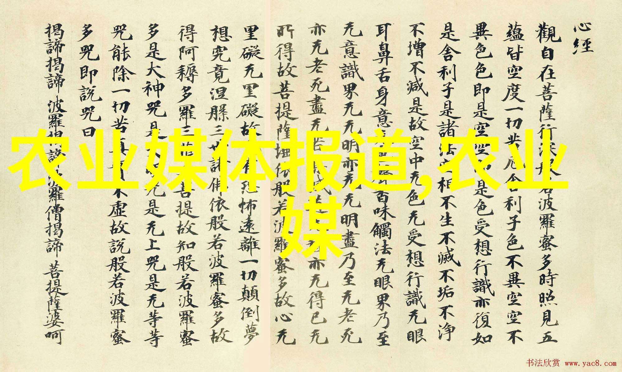 甜蜜与营养哪种水果最适合日常食用