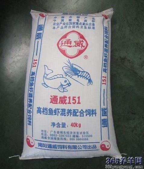 农业专家种植新时代的智慧种子