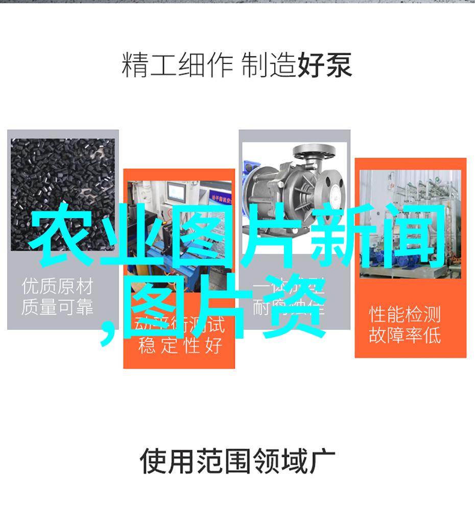 江西种植的最贵药材我在江西发现的那些让人惊叹的金钱花