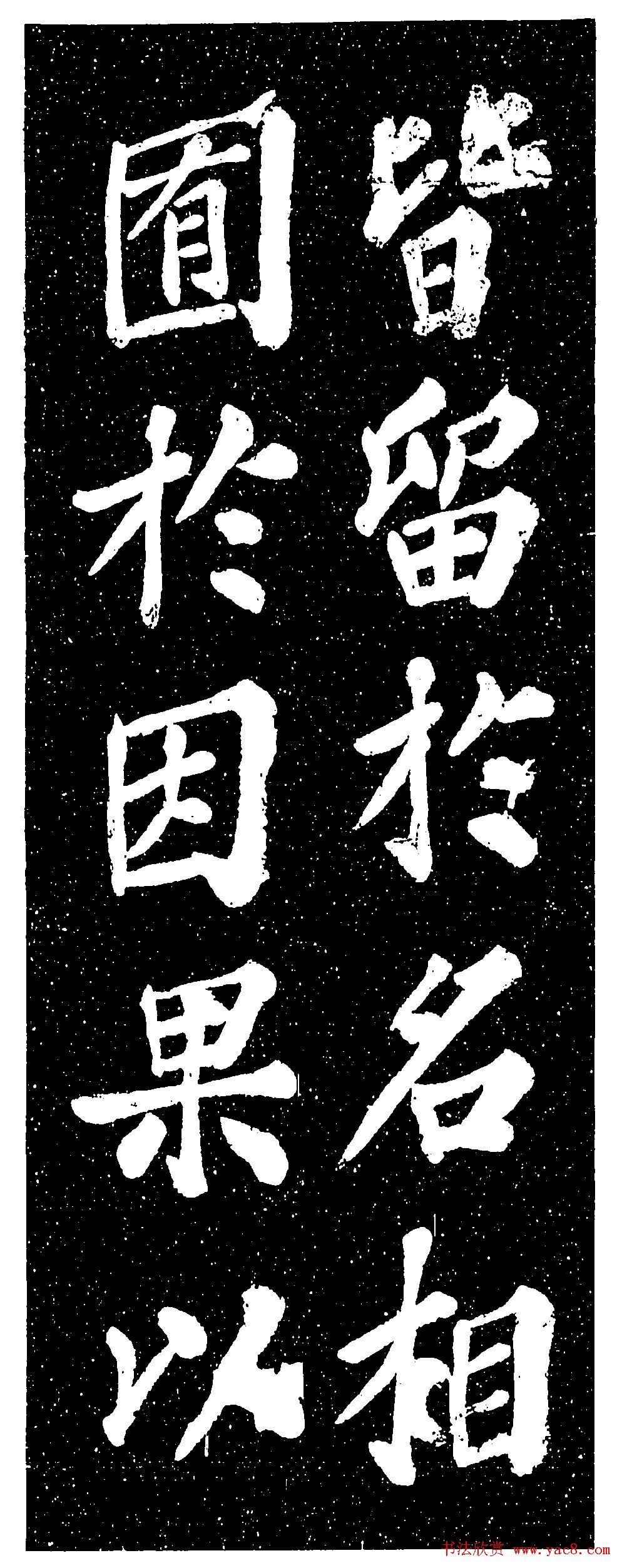 野生金线莲图片自然风光下的金线莲美景