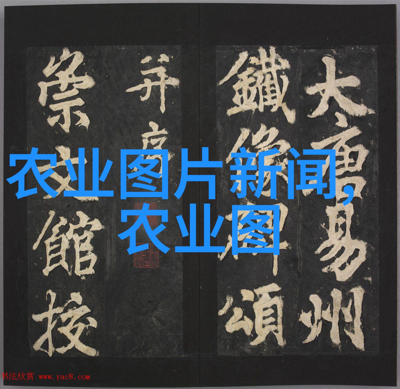 在园林管理方面毕业生应该掌握哪些商务策略才能成功经营绿色空间项目