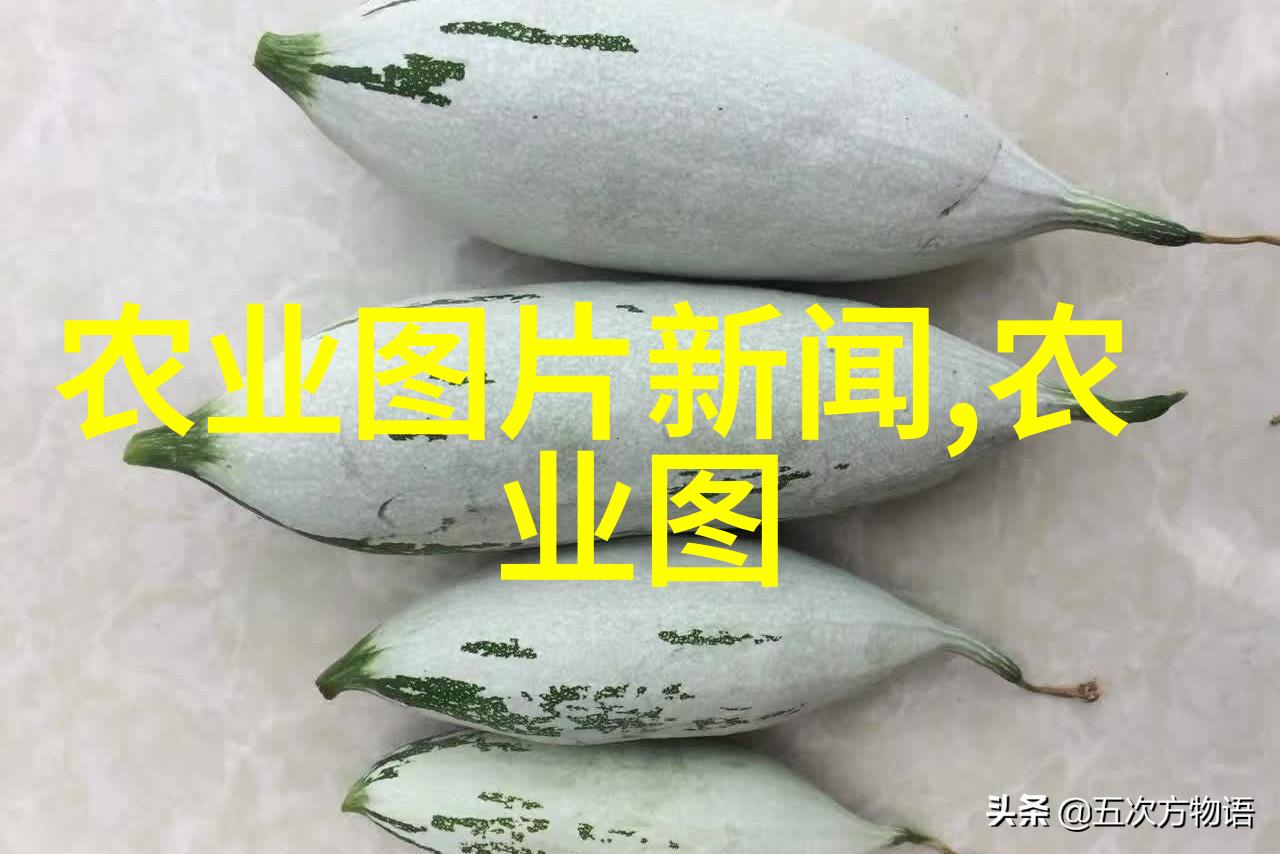家庭适合养殖的创业项目家庭养殖小猪家庭养鸡家庭种植蔬菜