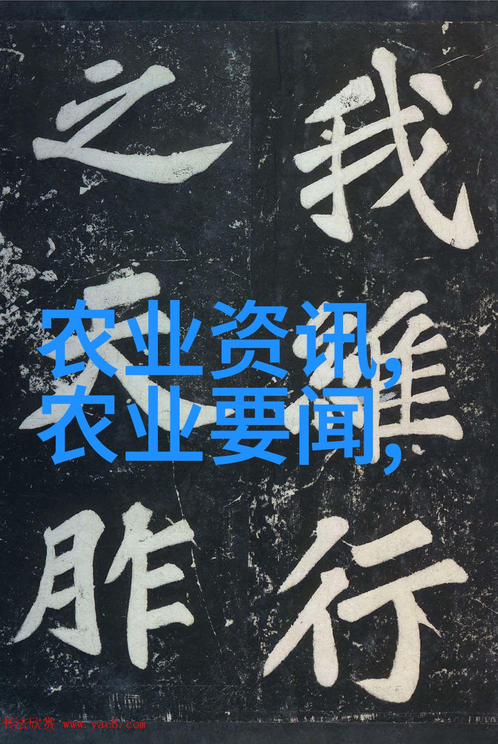 世界各地活泼的文化象征各种形态下的活性图案研究