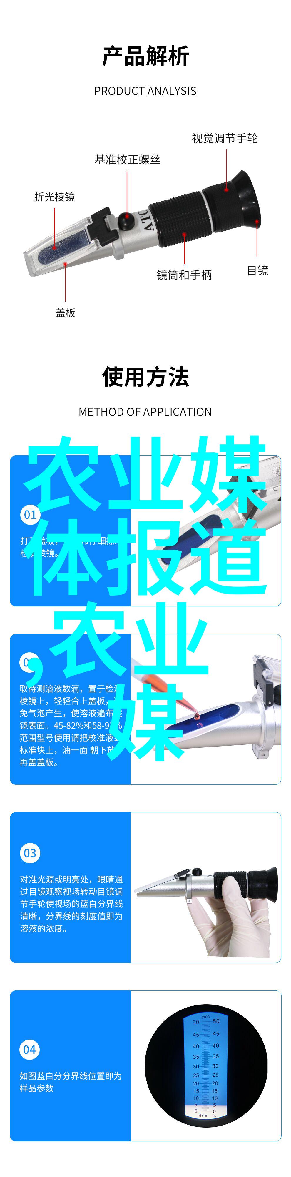 成都草莓苗批发市场-红果香满园探秘成都草莓产业的生根之地
