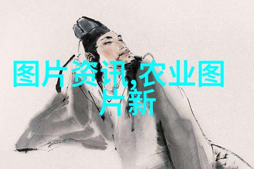 泥鳅之谜潜伏于暗流中的养殖艺术