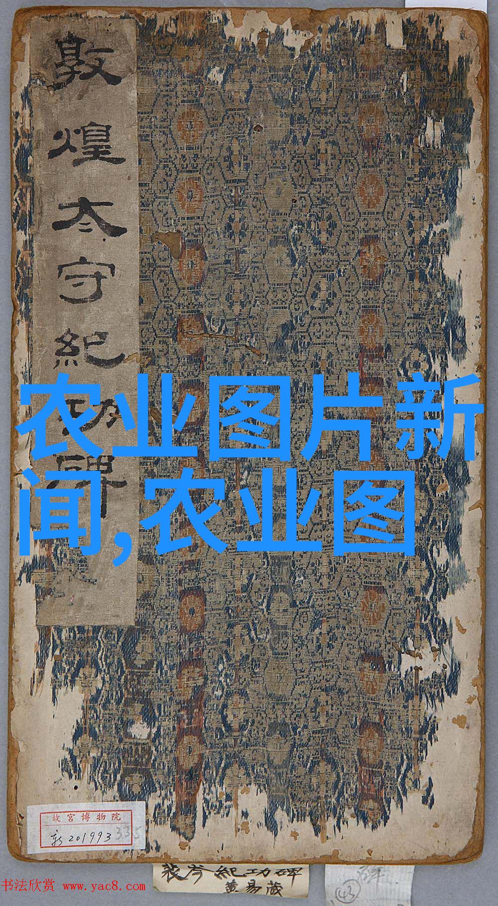 10公分法桐最新价格-十公分法桐市场动态精准报价与行业分析