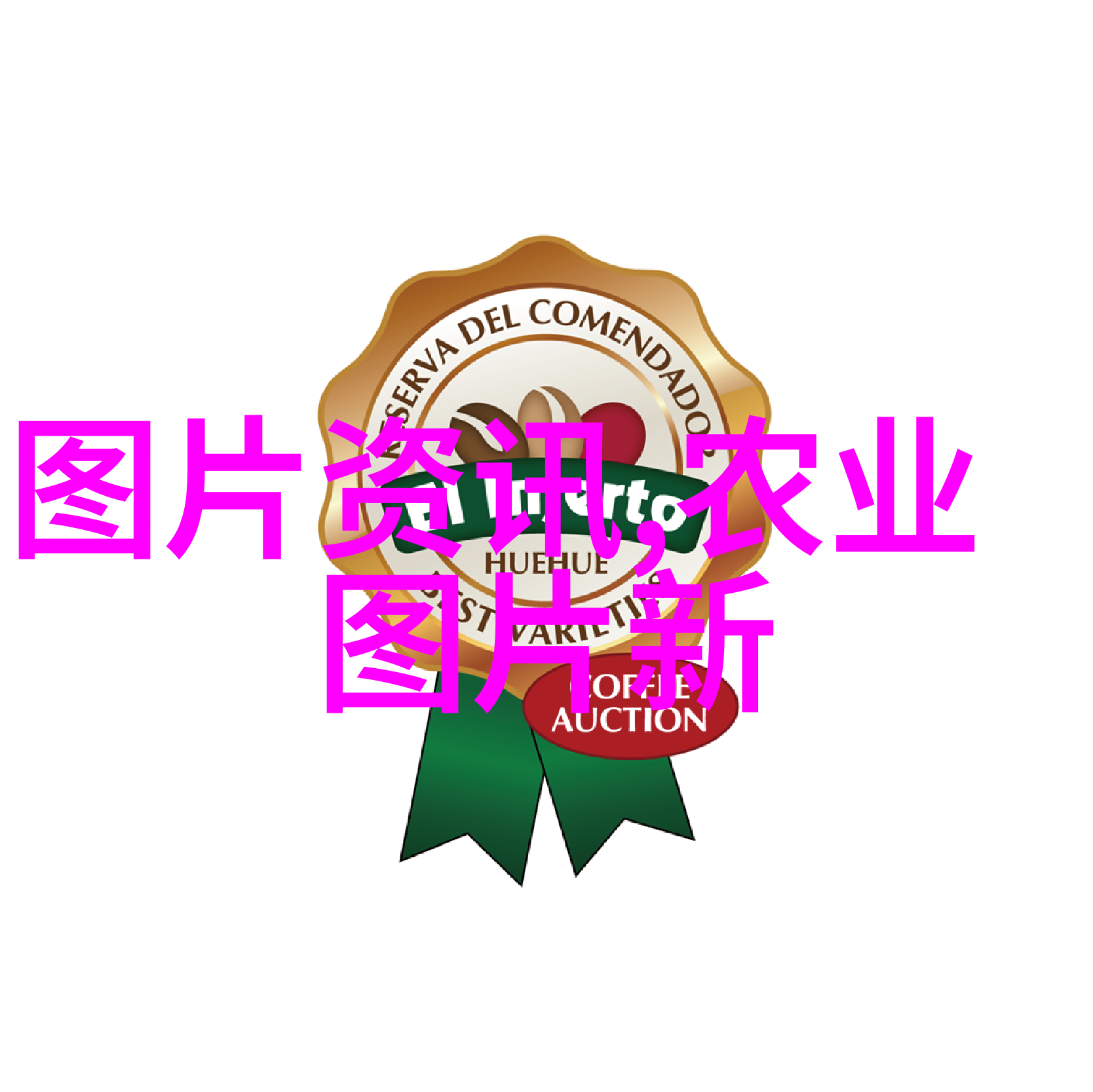 小尾寒羊养殖技术精髓从饲养管理到肉类加工的全方位探讨