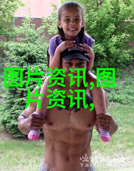 12公分彩叶豆梨树苗价格探究花园绿意与经济实惠的完美结合