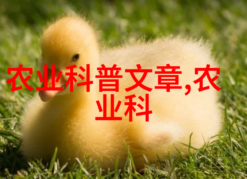 多年生草本花卉的特点是什么