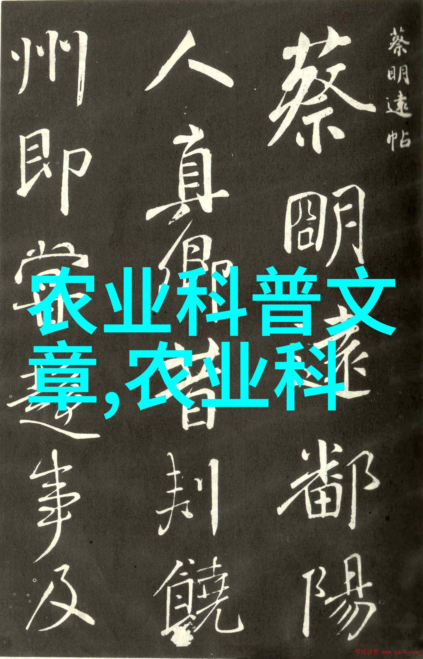 当前市场上最具价值的中药材种类探究