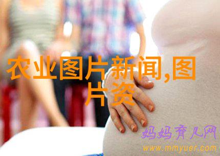 常见的绿化苗木品种我告诉你哪些树苗最受欢迎
