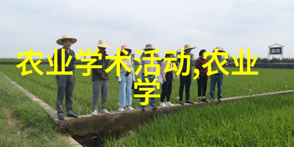绿化之冠探秘世界十大树木王者