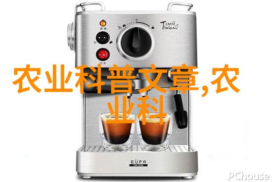 百禽丰收一年一千的肉鸽利润秘籍