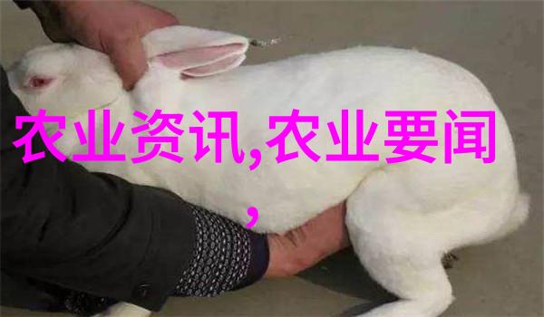 要想猪病少 三道保护好